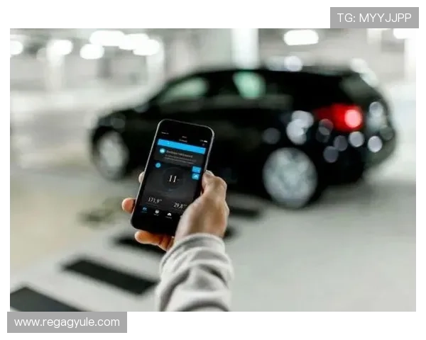 ag网站入口安全登录指南，保障账号信息安全的详细操作流程